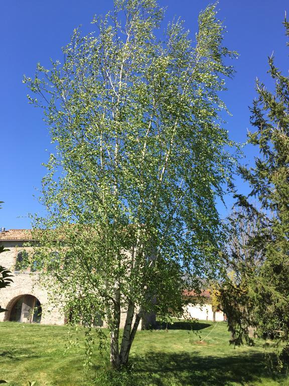 Agriturismo Le Due Arcate Vila San Massimo  Exterior foto
